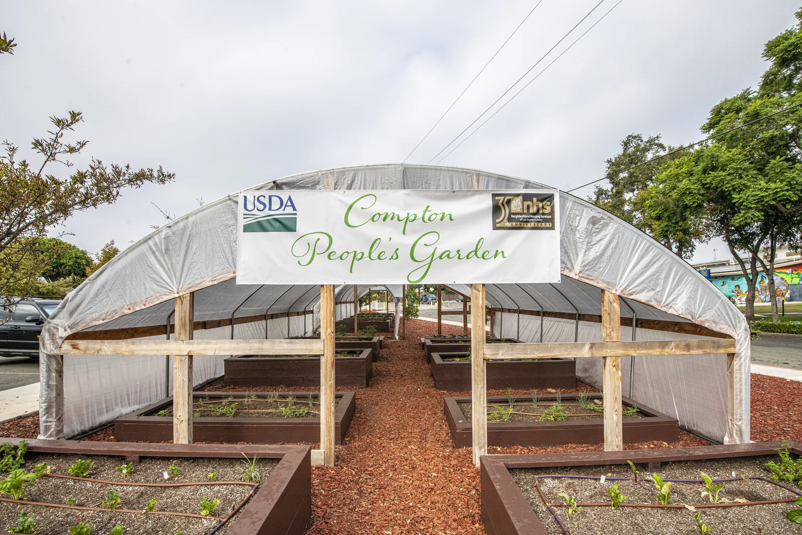 Raised vegetable beds in a community garden